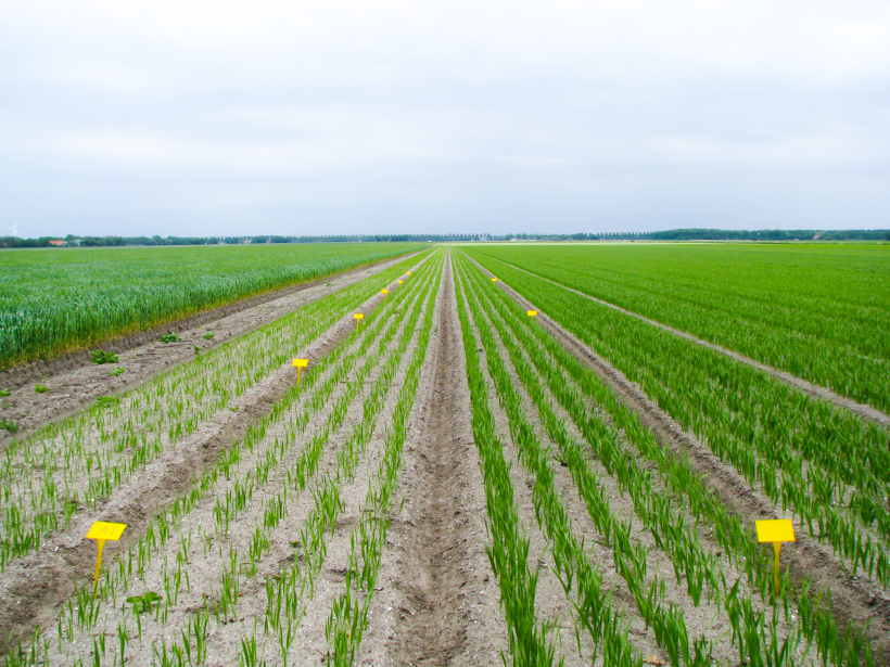 AgricultureExperiments