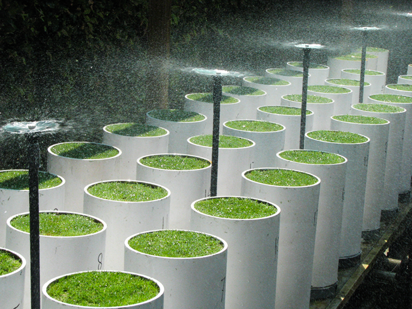 Watering